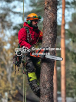 Удаление деревьев в Одинцово